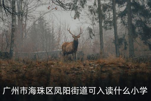 廣州市海珠區(qū)鳳陽(yáng)街道可入讀什么小學(xué)