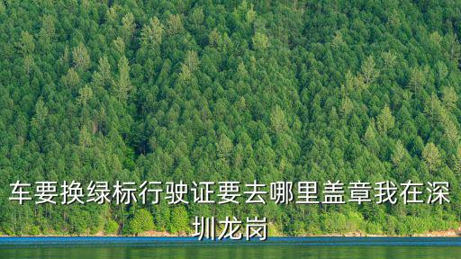 深圳車輛換綠標(biāo)，在深圳如何更換機(jī)動(dòng)車環(huán)保綠標(biāo) 去年新車2013年才年審請(qǐng)問(wèn)在