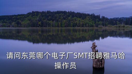 請問東莞哪個電子廠SMT招聘雅馬哈操作員