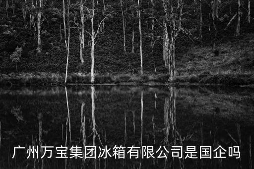 廣州萬寶集團(tuán)冰箱有限公司是國企嗎