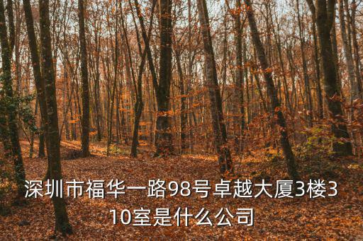 深圳市福華一路98號卓越大廈3樓310室是什么公司