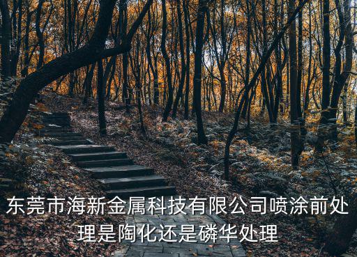 東莞市海新金屬科技有限公司噴涂前處理是陶化還是磷華處理