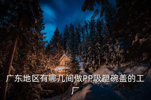 廣東地區(qū)有哪幾間做PP吸塑碗蓋的工廠(chǎng)