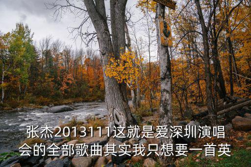 張杰2013111這就是愛深圳演唱會的全部歌曲其實我只想要一首英