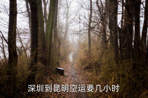 深圳到昆明空運(yùn)要幾小時(shí)