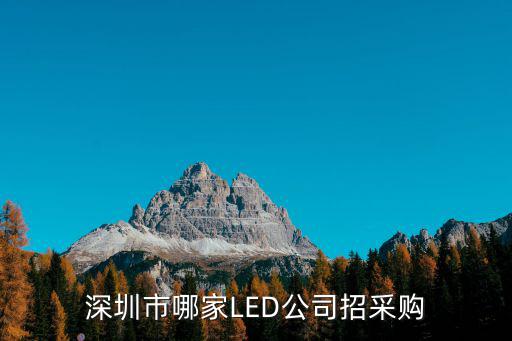 深圳市哪家LED公司招采購