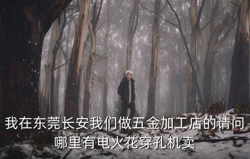我在東莞長安我們做五金加工店的請問哪里有電火花穿孔機賣