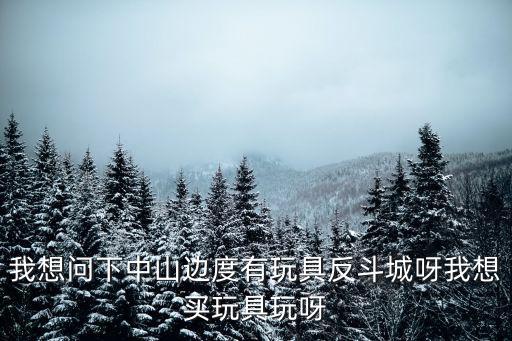 我想問下中山邊度有玩具反斗城呀我想買玩具玩呀
