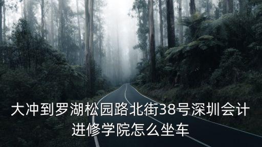 大沖到羅湖松園路北街38號深圳會計進(jìn)修學(xué)院怎么坐車