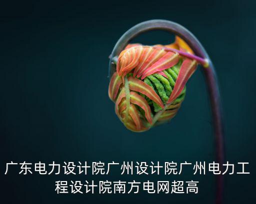 廣東電力設計院廣州設計院廣州電力工程設計院南方電網超高