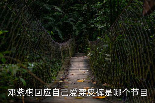 鄧紫棋回應(yīng)自己愛(ài)穿皮褲是哪個(gè)節(jié)目