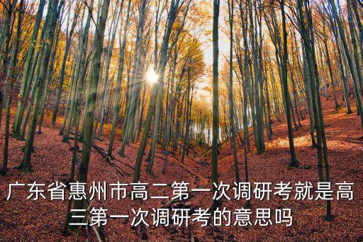 廣東省惠州市高二第一次調研考就是高三第一次調研考的意思嗎