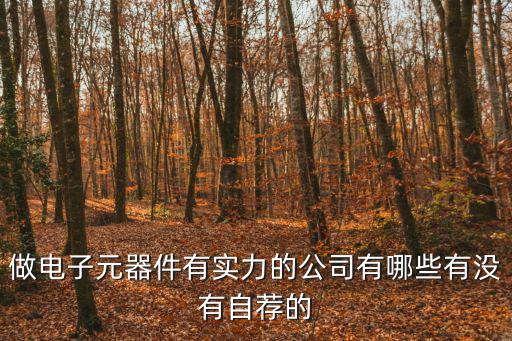 做電子元器件有實力的公司有哪些有沒有自薦的