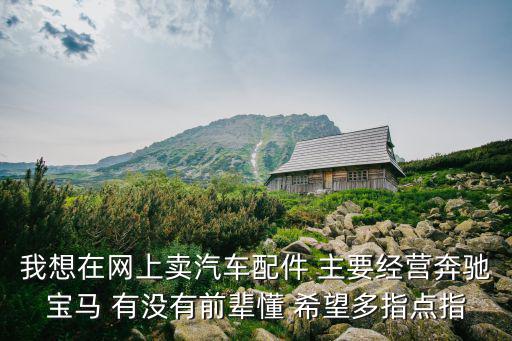 我想在網(wǎng)上賣汽車配件 主要經(jīng)營(yíng)奔馳寶馬 有沒有前輩懂 希望多指點(diǎn)指