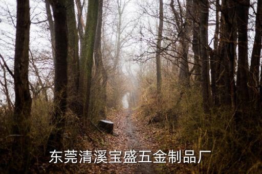 東莞市盛鵬五金制品有限公司，東莞清溪寶盛五金制品廠