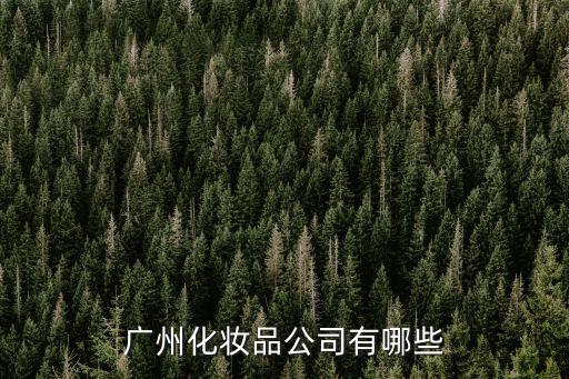 廣州恒忻化妝品公司，廣州化妝品公司有哪些