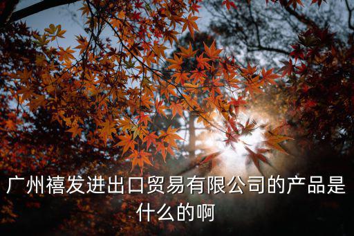 廣州禧發進出口貿易有限公司的產品是什么的啊