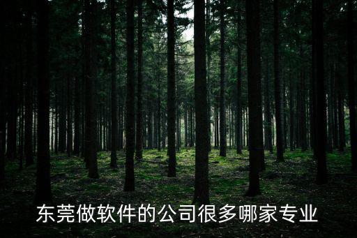 東莞做軟件的公司很多哪家專業