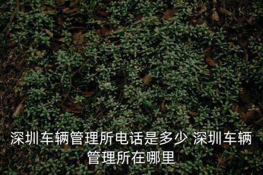 深圳市車管所，深圳車管所有哪幾家