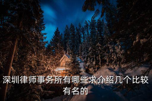 深圳律師所，深圳律師事務(wù)所有哪些求介紹幾個比較有名的