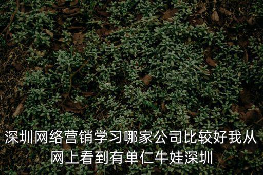 深圳網(wǎng)絡(luò)營銷，深圳的公司剛開業(yè)有沒有合適的網(wǎng)絡(luò)營銷機(jī)構(gòu)介紹一下我們是旅游