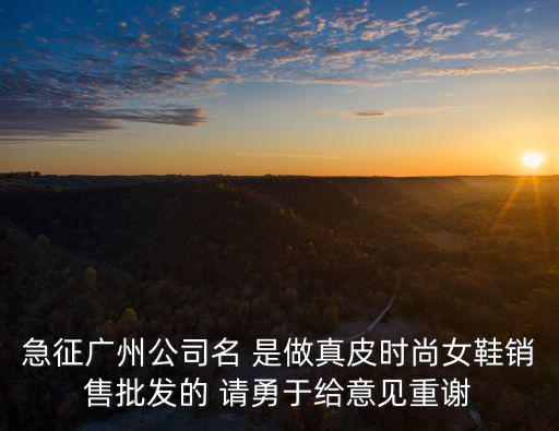 急征廣州公司名 是做真皮時尚女鞋銷售批發的 請勇于給意見重謝