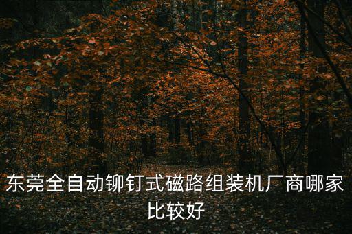 東莞全自動鉚釘式磁路組裝機廠商哪家比較好