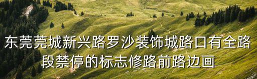 東莞莞城新興路羅沙裝飾城路口有全路段禁停的標志修路前路邊畫