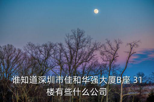 誰知道深圳市佳和華強(qiáng)大廈B座 31樓有些什么公司