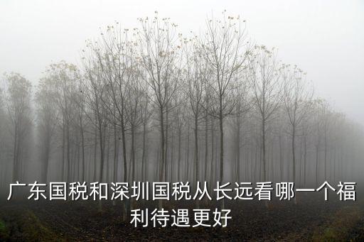 廣東國稅和深圳國稅從長遠看哪一個福利待遇更好