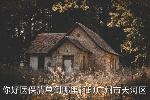 你好醫保清單到哪里打印廣州市天河區