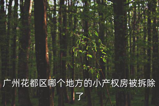 廣州花都區(qū)哪個地方的小產(chǎn)權(quán)房被拆除了