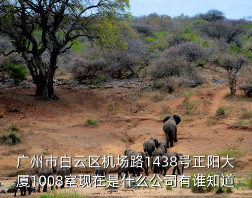 廣州市白云區機場路1438號正陽大廈1008室現在是什么公司有誰知道