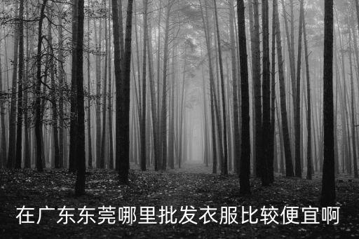 在廣東東莞哪里批發衣服比較便宜啊