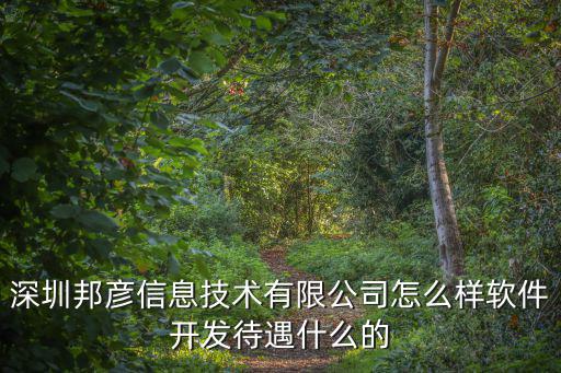 深圳邦彥信息技術有限公司怎么樣軟件開發待遇什么的