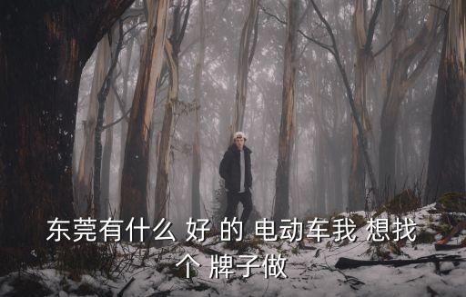 東莞電動車品牌，東莞有什么 好 的 電動車我 想找個 牌子做