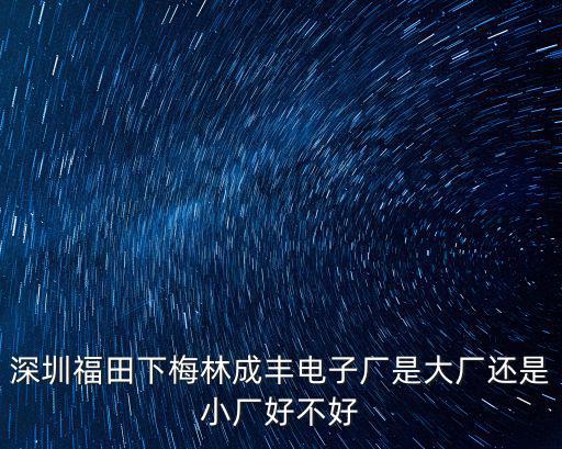 深圳福田下梅林成豐電子廠是大廠還是小廠好不好