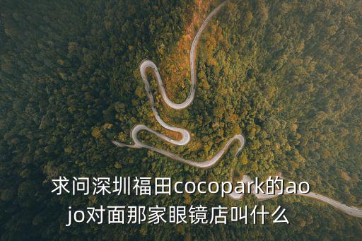 求問深圳福田cocopark的aojo對面那家眼鏡店叫什么