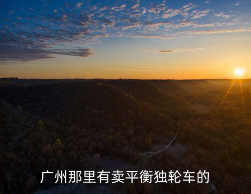 廣州那里有賣平衡獨輪車的
