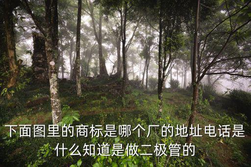 下面圖里的商標(biāo)是哪個廠的地址電話是什么知道是做二極管的