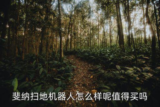 斐納掃地機器人怎么樣呢值得買嗎