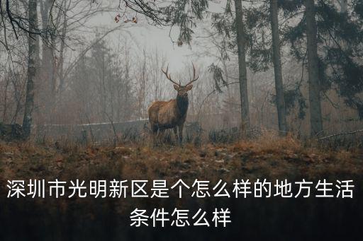 深圳光明新區環境，深圳市光明新區是個怎么樣的地方生活條件怎么樣