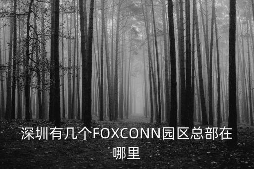 深圳有幾個FOXCONN園區總部在哪里