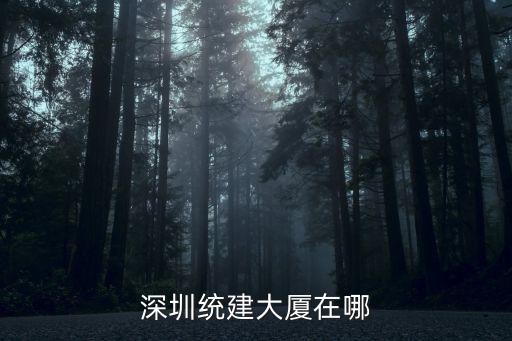 深圳統建，深圳統建樓有保障嗎