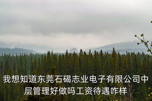 我想知道東莞石碣志業電子有限公司中層管理好做嗎工資待遇咋樣