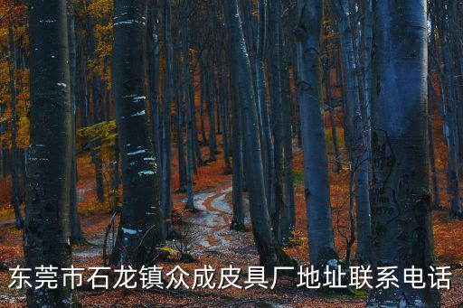 東莞石龍皮帶批發(fā)市場(chǎng)，東莞皮衣批發(fā)市場(chǎng)在哪里