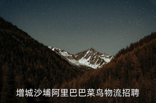 增城沙埔阿里巴巴菜鳥物流招聘