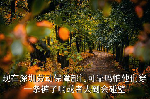 現在深圳勞動保障部門可靠嗎怕他們穿一條褲子啊或者去到會碰壁