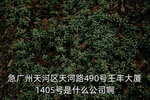 急廣州天河區天河路490號壬豐大廈1405號是什么公司啊