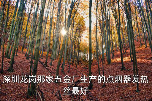 深圳龍崗那家五金廠生產的點煙器發熱絲最好